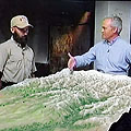 Afghanistan Site Model
