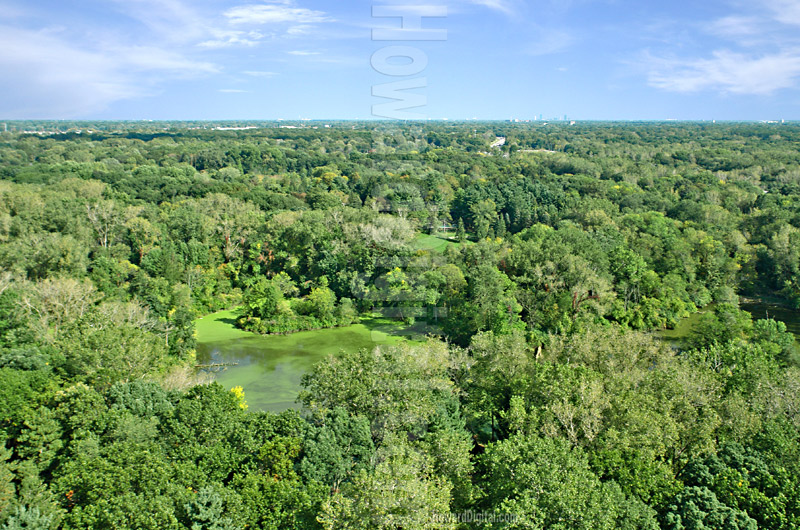 Camp Miakonda Picture